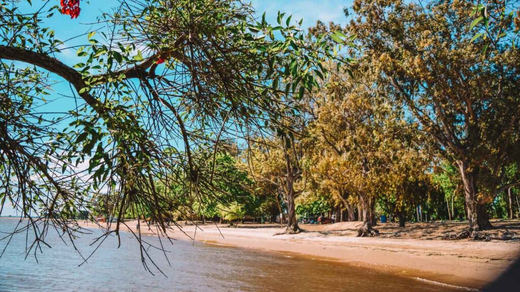 A serene view of the Carmelo riverfront in Uruguay, flanked by lush green trees and a clear blue sky, inviting a moment of peaceful reflection by the water's edge.