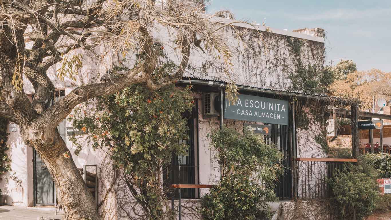 The quaint façade of 'La Esquinita Casa Almacén' restaurant in Colonia del Sacramento, nestled under the sprawling branches of a majestic tree, with greenery adorning the exterior, capturing the rustic charm of this historic Uruguayan city.