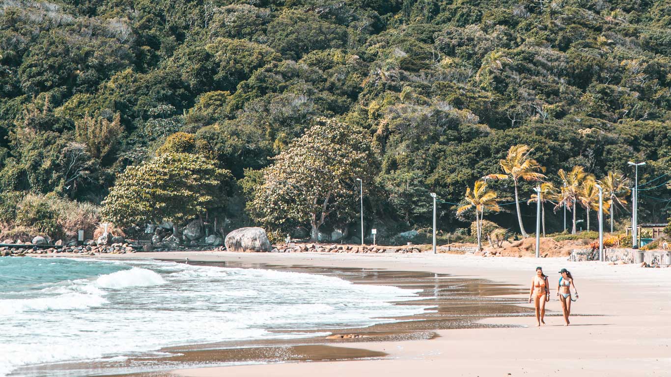 A tranquil beach in Florianópolis with two women walking along the sand, surrounded by dense vegetation and palm trees. The gentle waves of the sea break on the shore, creating a serene and relaxing scene.