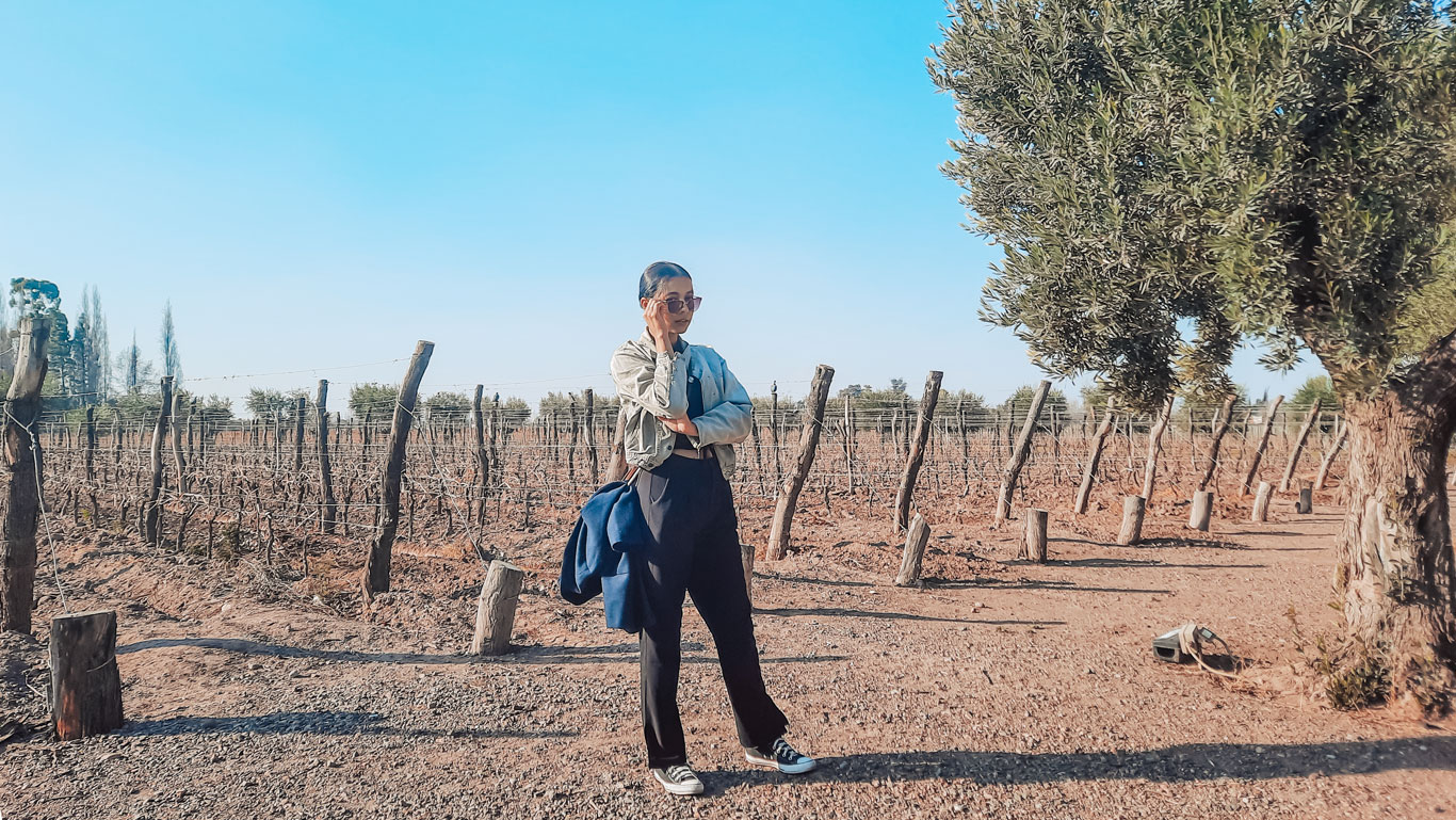 A woman standing in a vineyard at Bodega Vistalba, one of the best wineries in Mendoza, wearing sunglasses, a light jacket, black pants, and sneakers. She holds a blue jacket while posing under a bright blue sky, with wooden posts and a large tree adding a natural touch to the rustic setting. The scene captures the tranquility of a vineyard in its early stages of growth.