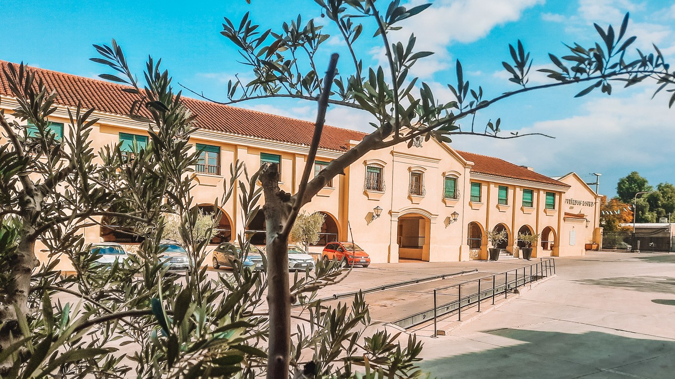 A sunlit view of Bodegas López in Mendoza, Argentina, showcasing its traditional peach-hued façade with Spanish style arched entrances and green window shutters. Foreground olive branches partially obscure the view, adding a natural touch to the scene of this iconic winery against a clear blue sky.