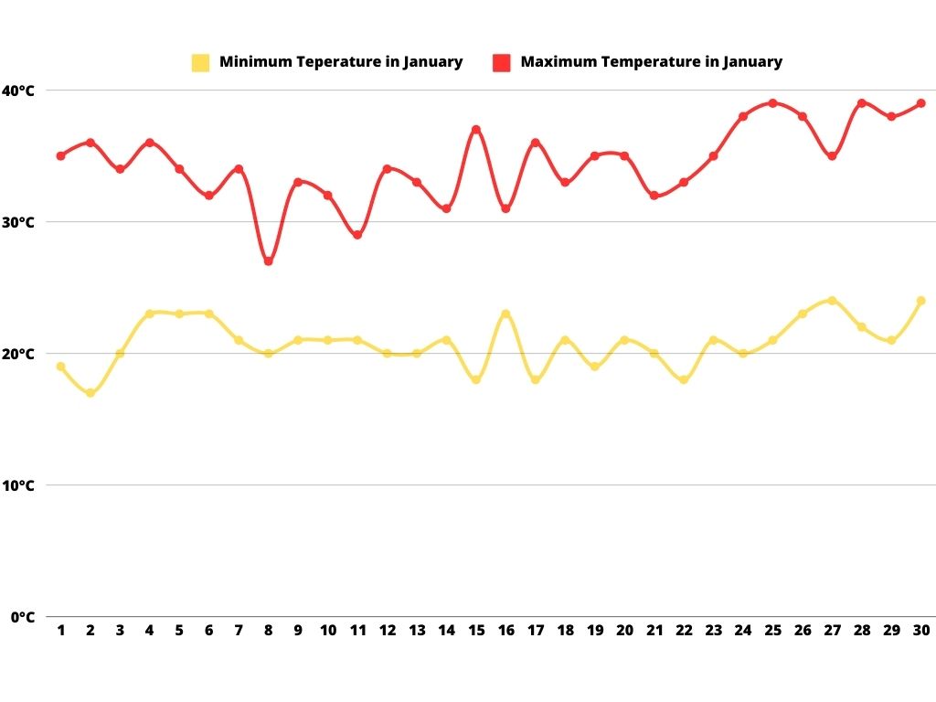 This is a graph showing average minimum and maximum temperatures in January, represented in degrees Celsius. The average maximum temperature, indicated by the red line, remains consistently near 30°C, while the average minimum temperature, represented by the yellow line, stays around 15°C.