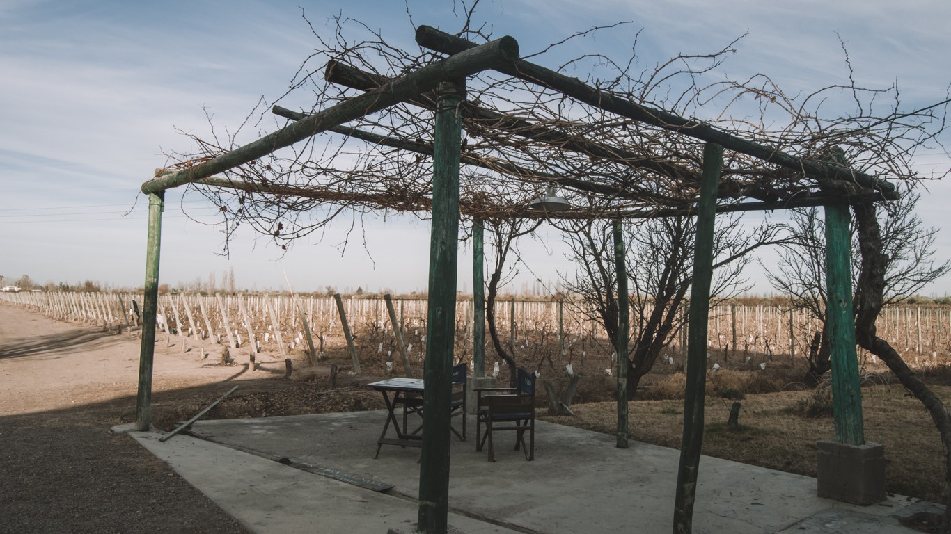 A rustic wooden pergola with bare vines stands in front of a vineyard at a bodega in Mendoza. The vineyard's rows of dormant grapevines stretch into the distance under a partly cloudy sky, reflecting the winter season in August.