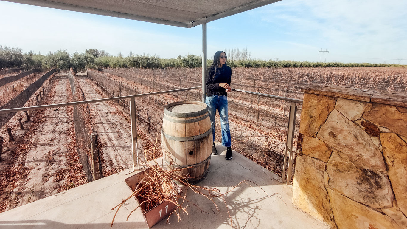 This image captures a woman standing on a covered outdoor platform at a vineyard during the off-season. She is dressed casually in a black jacket and blue jeans, leaning against a railing with a wooden wine barrel beside her. In the background, rows of dormant grapevines stretch out under a clear sky, framed by distant greenery.