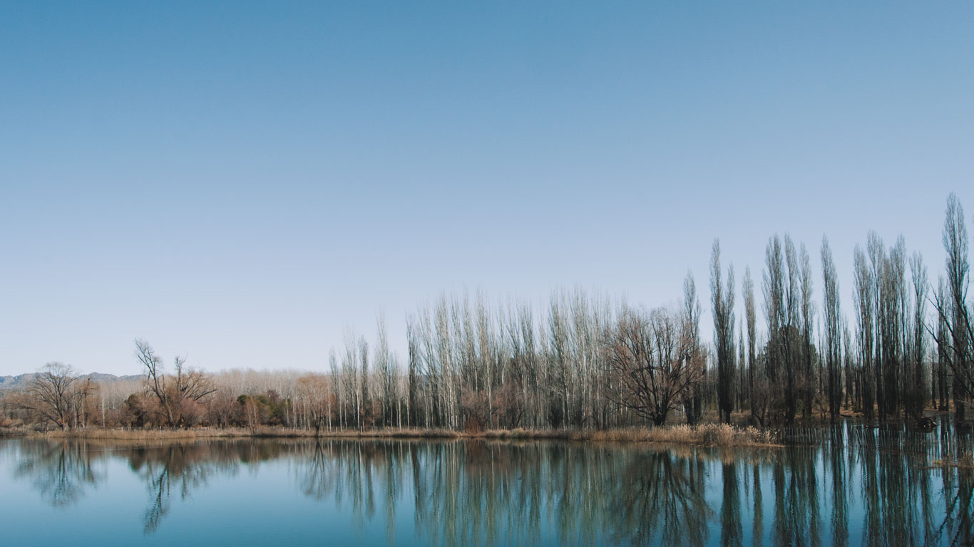 This image showcases a tranquil lake reflecting a clear blue sky and a row of tall, slender trees on its shore. The serene water acts as a mirror, creating a perfect reflection of the trees and the sparse vegetation around them. This peaceful scene is set against a backdrop of faint mountains, providing a sense of calm and untouched natural beauty.