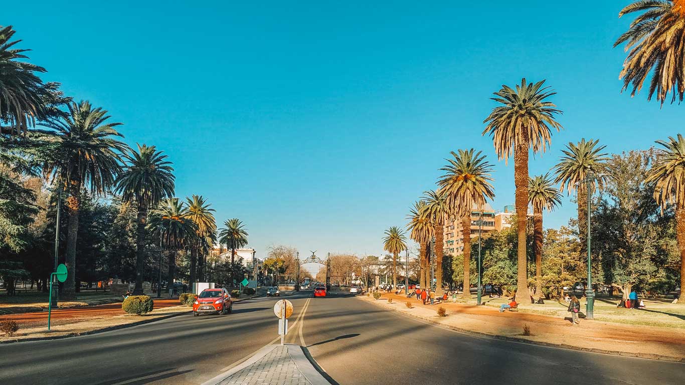 A bustling city street in Mendoza, Argentina, lined with tall, slender palm trees under a bright blue sky. The street is busy with cars and pedestrians, showcasing a vibrant urban scene surrounded by lush greenery and well-maintained public spaces.