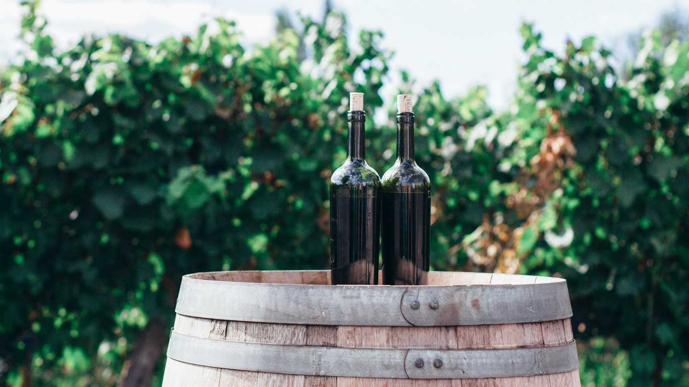 Two dark green wine bottles with corks are placed atop an old wooden barrel. In the blurred background, lush green foliage under bright sunlight adds a fresh, natural ambiance.