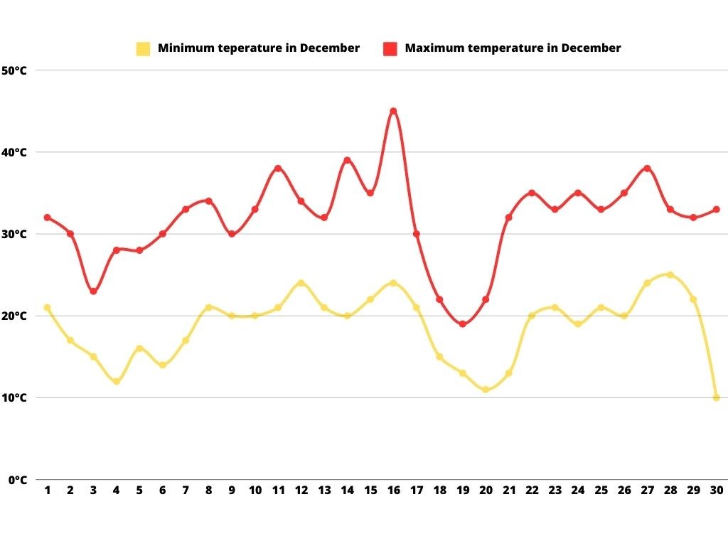 A line graph displaying the daily minimum and maximum temperatures in Mendoza for the month of December. The graph shows a red line for maximum temperatures, peaking above 40°C on some days, and a yellow line for minimum temperatures, generally ranging between 10°C and 20°C. The temperature fluctuations illustrate a significant range, typical of warm summer days and cooler nights in this region.