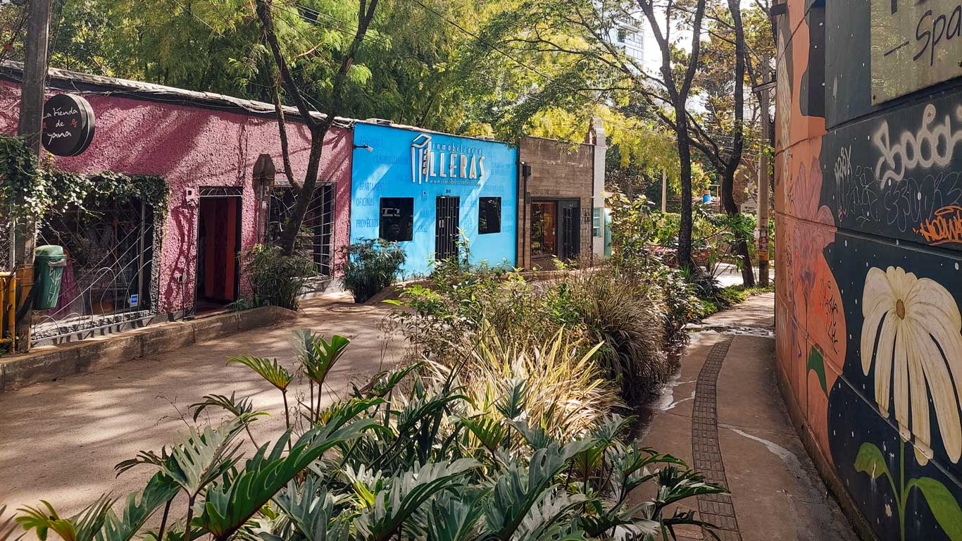 A vibrant street scene in Medellín's El Poblado neighborhood, featuring colorful buildings and lush greenery. The foreground has a variety of plants, while the mid-ground includes a bright pink building next to a striking blue one labeled "Inmobiliaria Lleras." The right side of the image shows a mural with floral designs, adding to the artistic and lively atmosphere of the area.