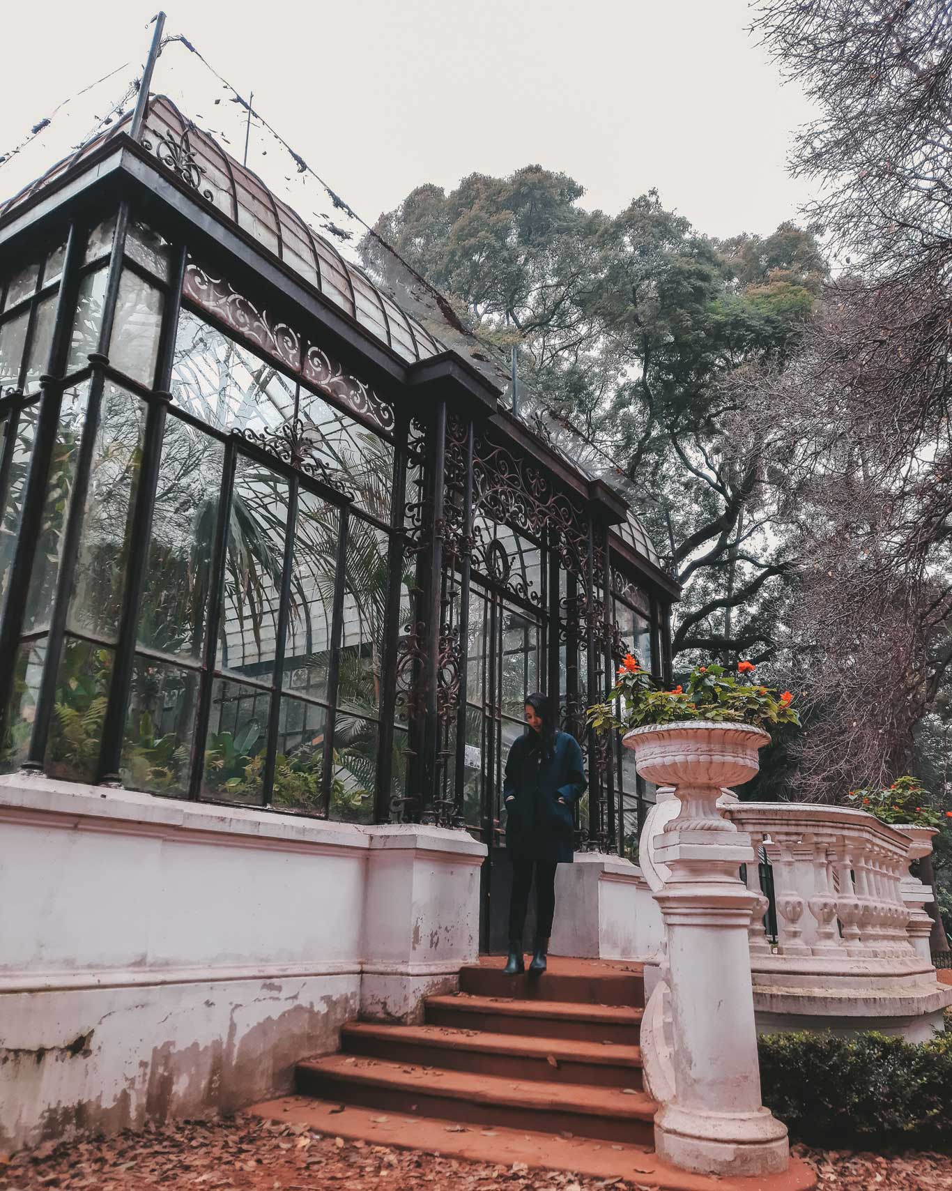 This image shows a person standing outside a historical greenhouse at the Jardín Botánico in Buenos Aires, Argentina. The greenhouse has intricate ironwork and large glass windows that reveal lush plants inside. The surrounding area features tall trees, stone steps, and elegant urn planters with vibrant flowers, creating a peaceful, garden-like atmosphere.