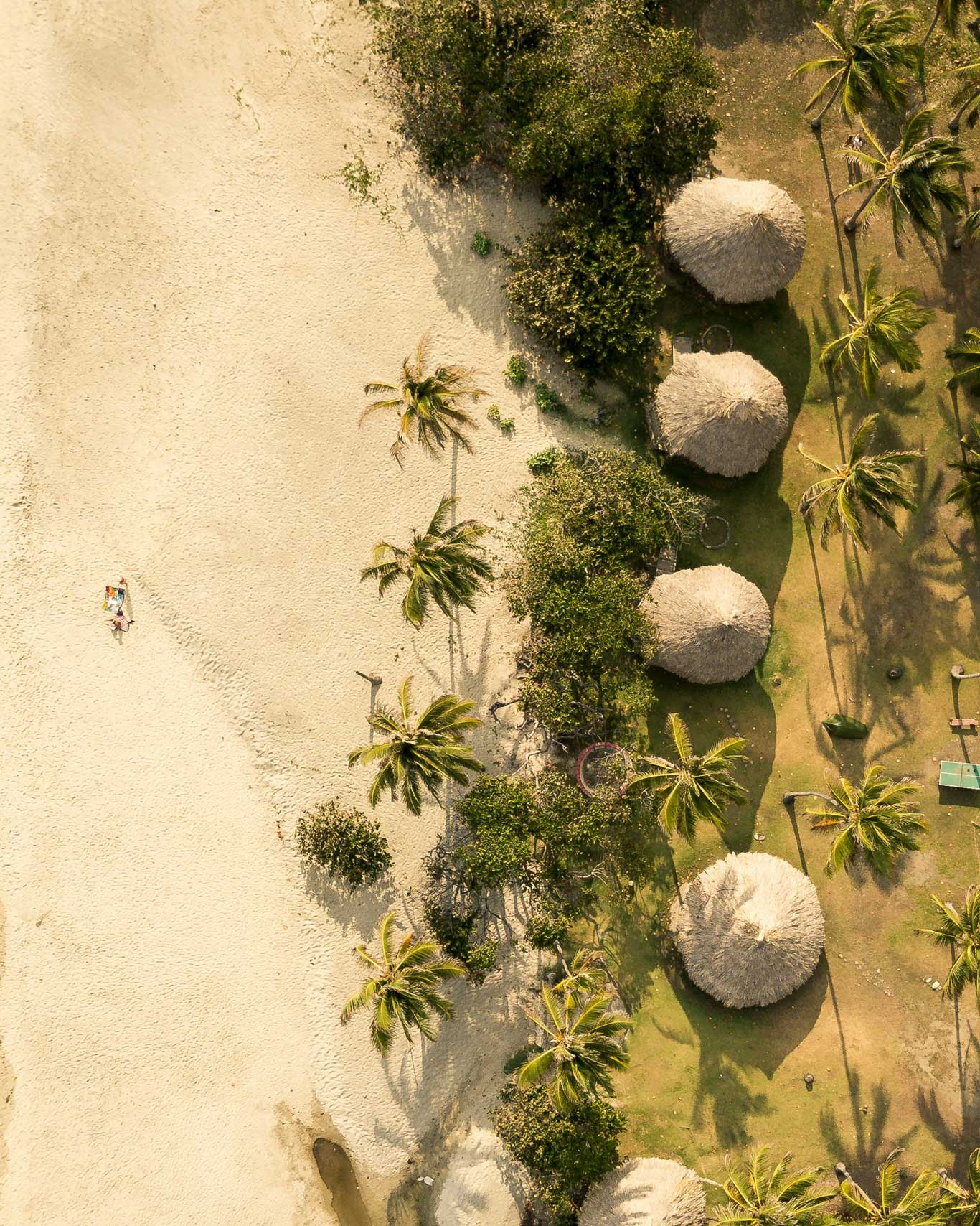 This image depicts an aerial view of a tropical coastline, likely Tayrona National Park. On the left, golden sandy beaches meet gentle ocean waves, while on the right, clusters of palm trees and thatched-roof huts create a serene landscape. This balance of lush greenery and pristine shoreline highlights the area's natural beauty.