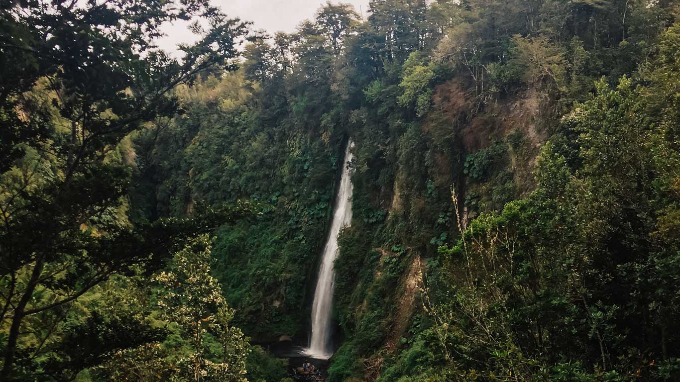 A tall, narrow waterfall cascades down a steep, lush green cliff surrounded by dense forest on Chiloé Island, Chile. The water flows into a small pool at the base, framed by trees and vegetation. The scene captures the serene beauty of the island's natural landscape under an overcast sky.