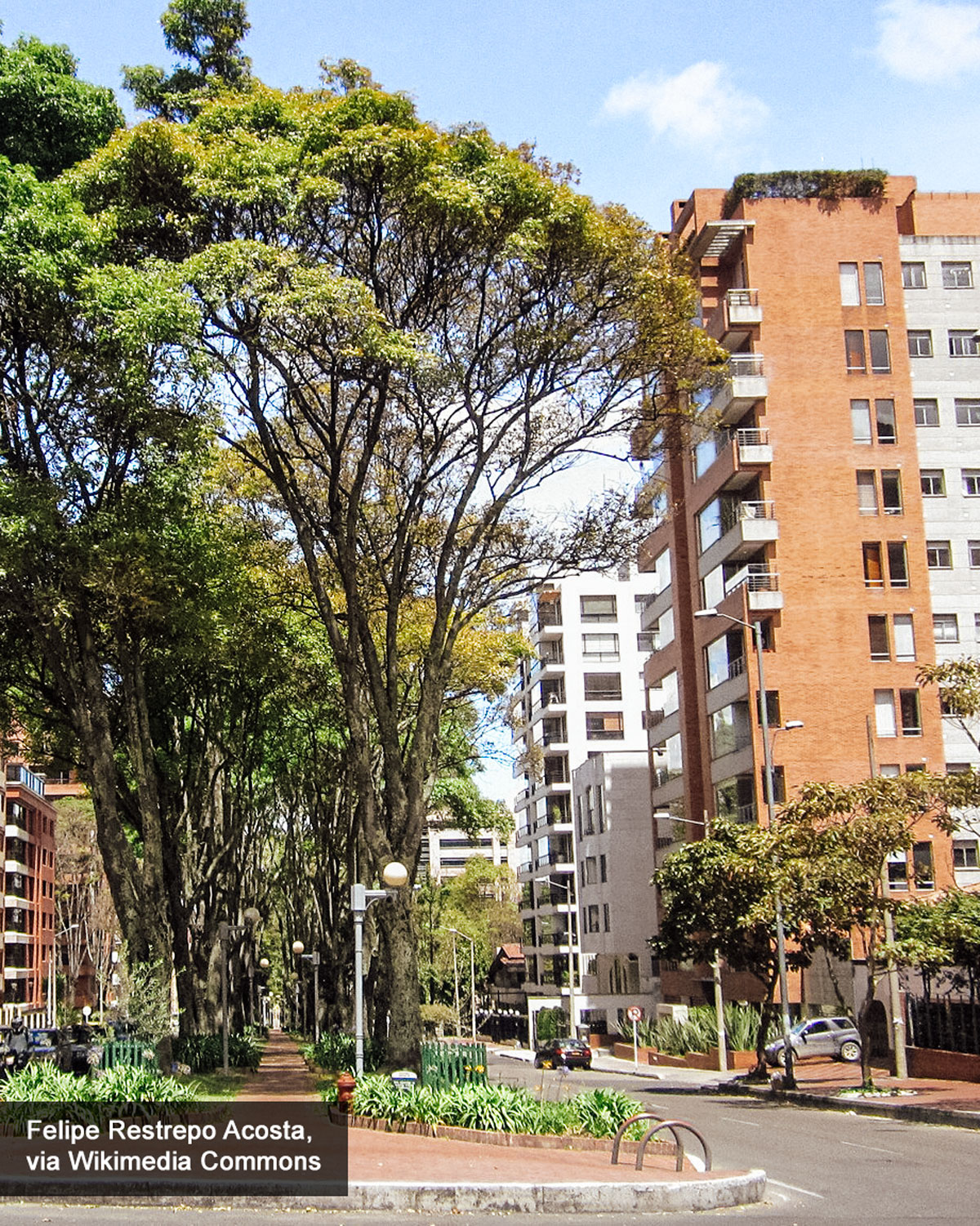 A tree-lined street in Bogotá's upscale El Chicó neighborhood, showcasing lush greenery and modern apartment buildings. The bright blue sky, red-brick façades, and pedestrian-friendly pathways highlight this area as one of the best places to stay in Bogotá for a mix of nature and city living.