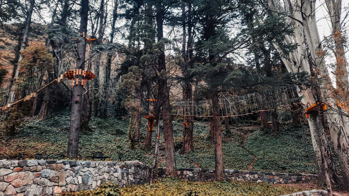 A wooded area with tall trees and an adventure park featuring elevated rope bridges and wooden platforms suspended between trees. The ground is covered in dense green ivy, and stone walls border the path. The scene evokes a tranquil outdoor experience, likely for zip-lining or tree-climbing activities in a forest setting.