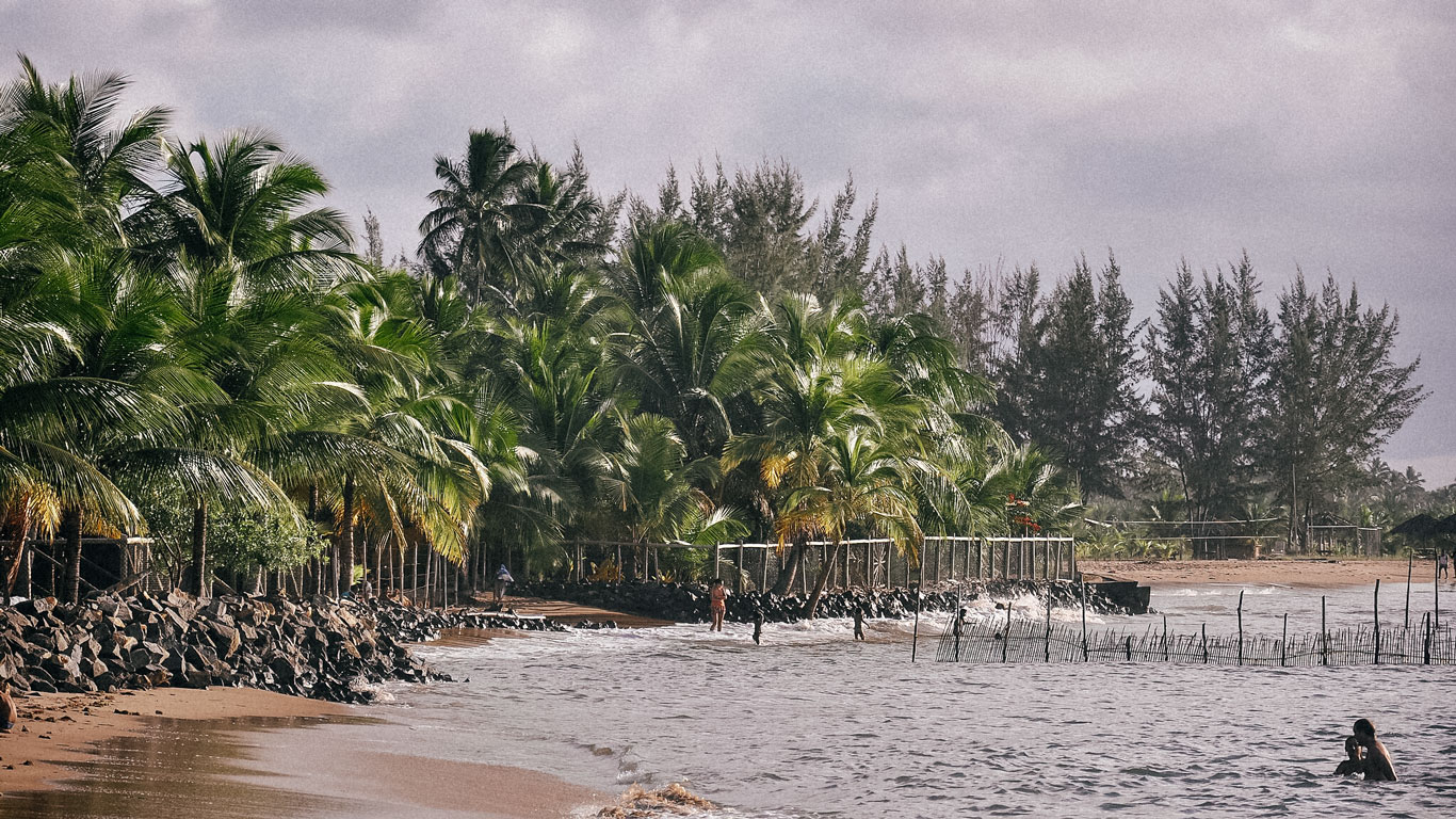 Mutá Beach featuring lush palm trees lining the sandy shore, with gentle waves lapping against the rocks and a serene atmosphere. The scene includes people enjoying the water and a backdrop of dense greenery, creating a peaceful tropical escape in Porto Seguro.