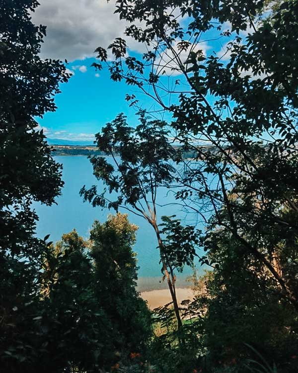 A serene view of the lake from Parque Philippi in Puerto Varas, Chile, framed by lush green trees and foliage. The blue water glistens under a partly cloudy sky, with a sandy shoreline visible through the gaps in the trees. This tranquil setting offers a peaceful nature escape for visitors exploring things to do in Puerto Varas.