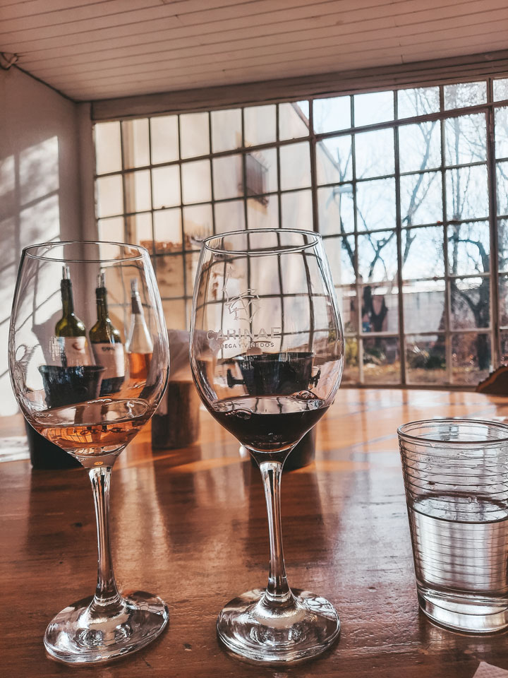 Two wine glasses engraved with the logo "CarinaE Bodega y Viñedos," one filled with rosé and the other with red wine, placed on a wooden table. In the background, bottles of wine are displayed near a large window offering a view of a sunlit courtyard. The scene highlights a peaceful and elegant wine-tasting experience.