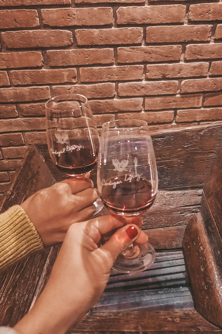 Two hands toasting with glasses of red wine engraved with the logo of "Bodegas López," against a rustic brick wall background. The warm lighting and wooden surfaces evoke a cozy and intimate wine-tasting experience at the winery. The scene captures the essence of celebration and quality wine.