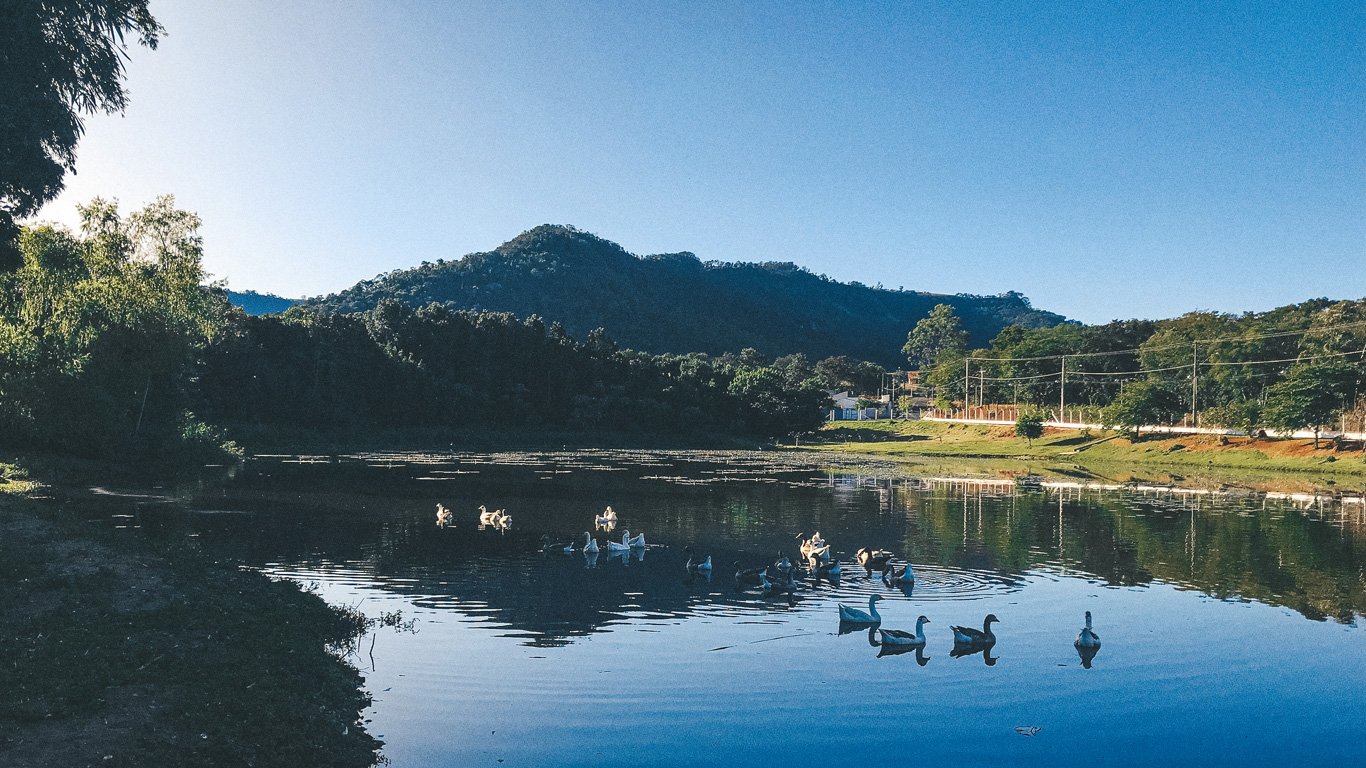 A peaceful lakeside scene with a group of ducks and geese swimming in the calm water, reflecting the clear blue sky. In the background, lush green mountains and dense trees frame the horizon, while a small rural road with houses and utility poles runs alongside the lake. The setting captures a serene, natural landscape, possibly in the late afternoon or early evening.