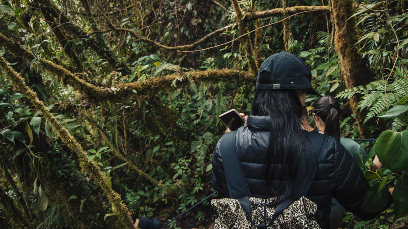 jardin-antioquia-colombia Two women trek through a dense, moss-covered rainforest in Jardín, Colombia, with one holding a smartphone and wearing a black cap and leopard-print backpack. Surrounded by thick vines, ferns, and lush greenery, the scene captures the raw beauty of the Andean jungle.