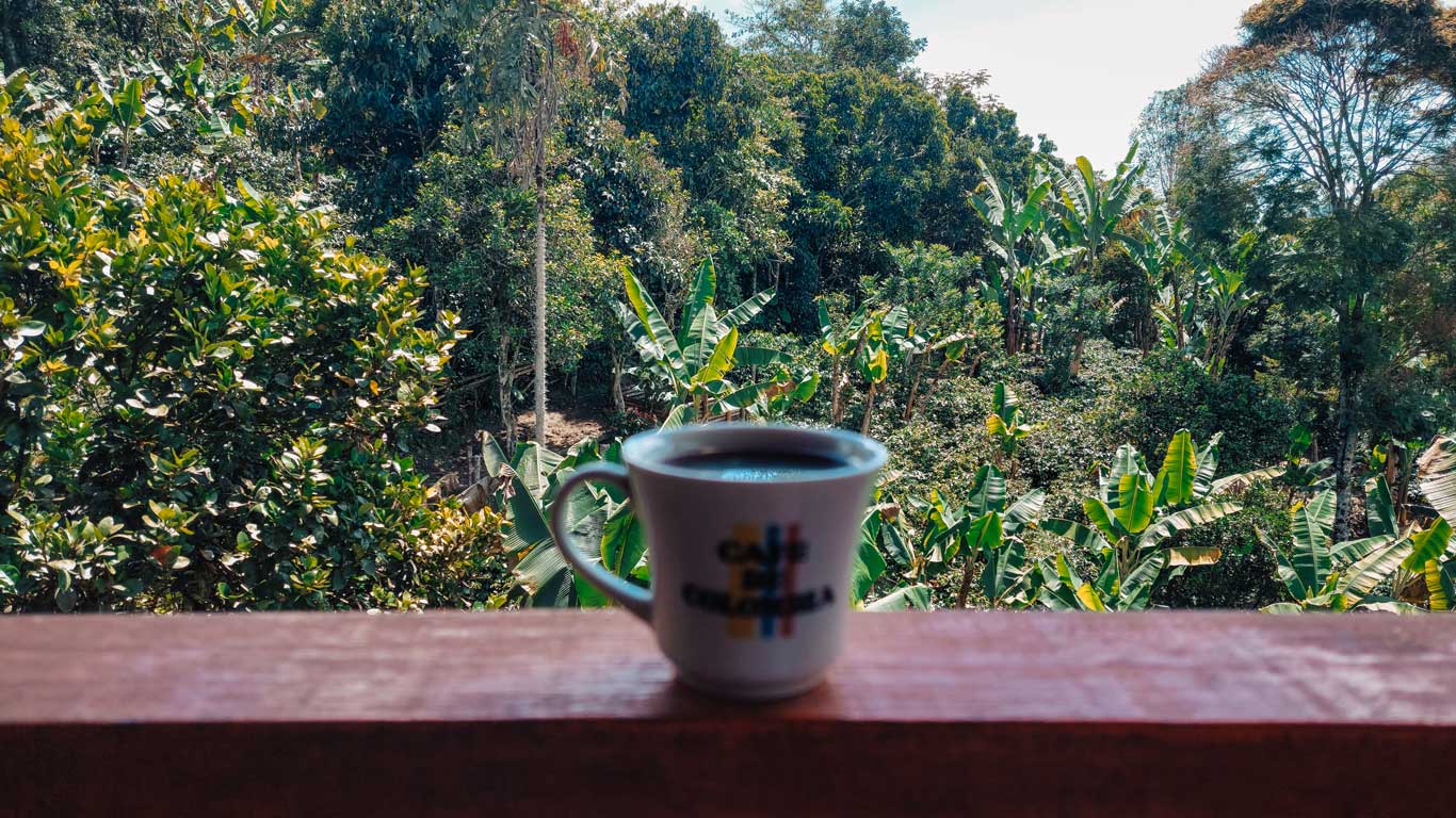 tour-cafe-jardin A steaming cup of Café de Colombia sits on a wooden ledge overlooking lush tropical foliage during a coffee farm tour—sampling local brews is one of the tastiest things to do in Jardín, Colombia.