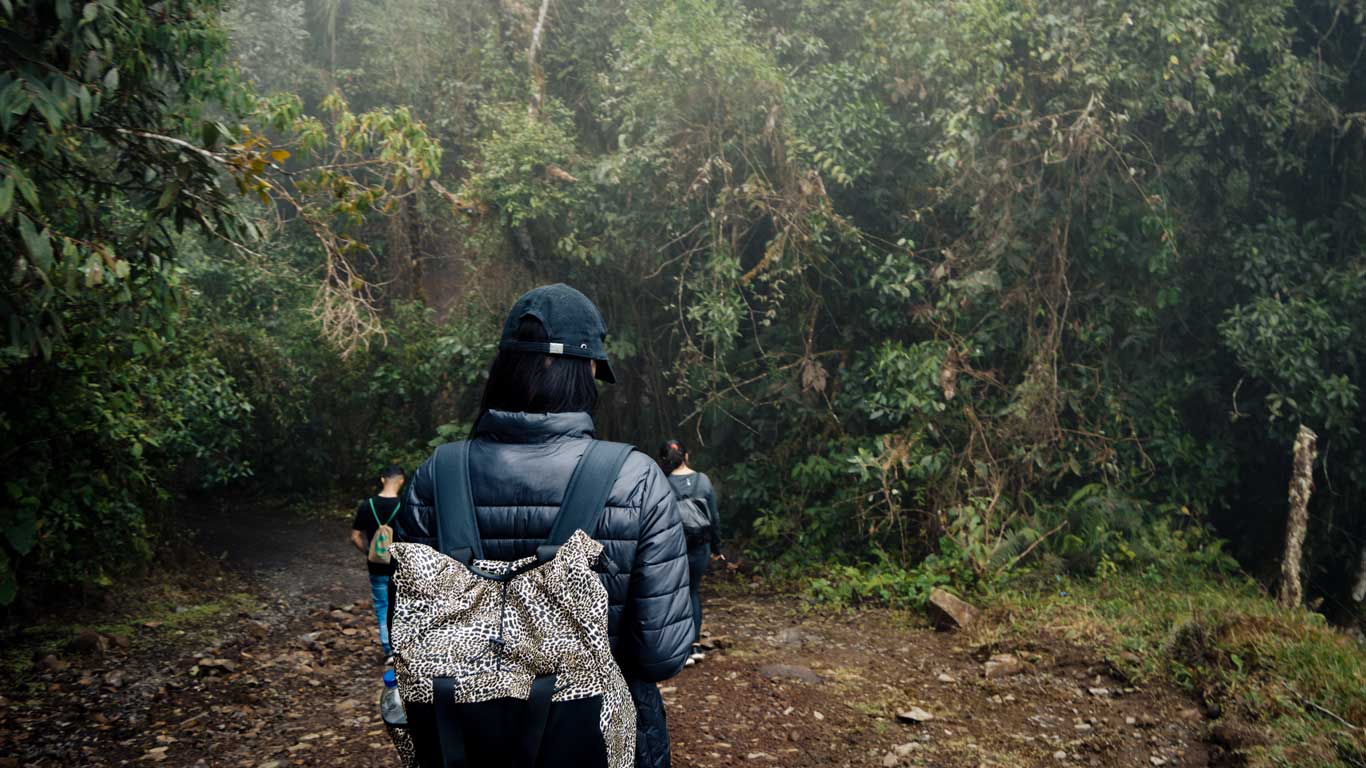 trail-7-cascatas-in-jardin A group of hikers follows a misty, forested trail along the 7 Cascadas hike—an immersive nature experience and one of the top things to do in Jardín, Colombia for outdoor lovers.