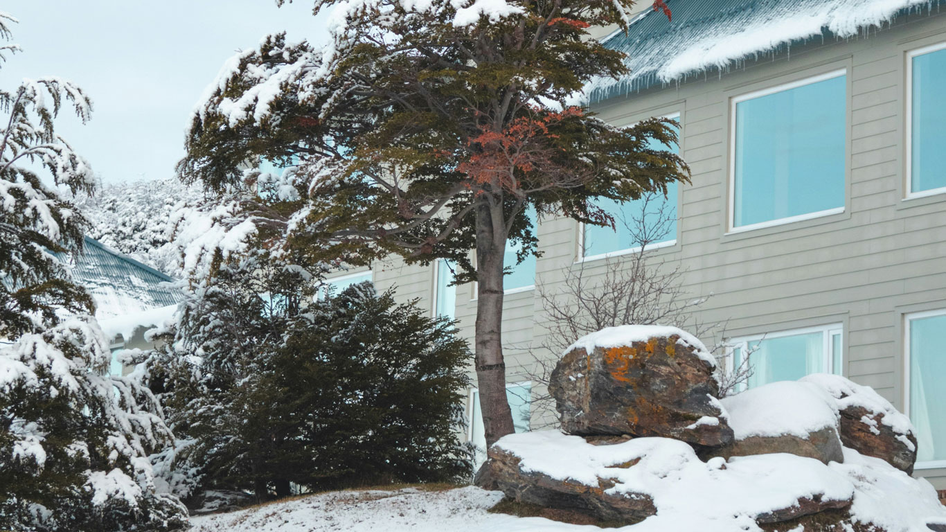 weather-and-temperature-in-ushuaia A snow-covered tree and rocky landscape sit in front of a modern building with blue-tinted windows, showcasing Ushuaia’s wintry weather. Snow rests on rooftops and branches, hinting at freezing temperatures and a fresh snowfall.