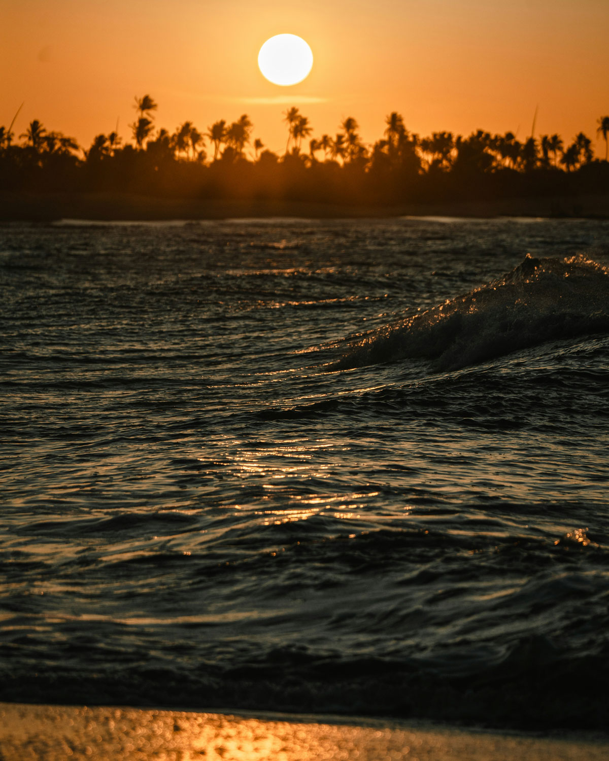 Ponta do Santo Cristo Beach at sunset — one of the top places to stay in São Miguel do Gostoso — with the sun setting behind swaying palm trees and the ocean shimmering in golden hues.